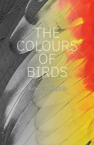 The Colours of Birds cover