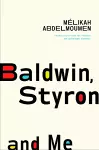 Baldwin, Styron and Me cover