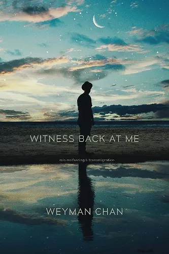 Witness Back at Me cover