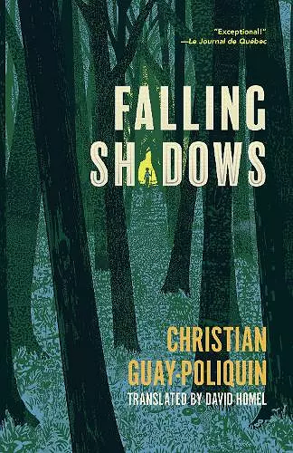 Falling Shadows cover