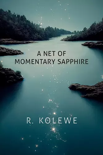 A Net of Momentary Sapphire cover