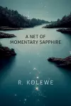 A Net of Momentary Sapphire cover