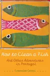 How to Clean a Fish cover