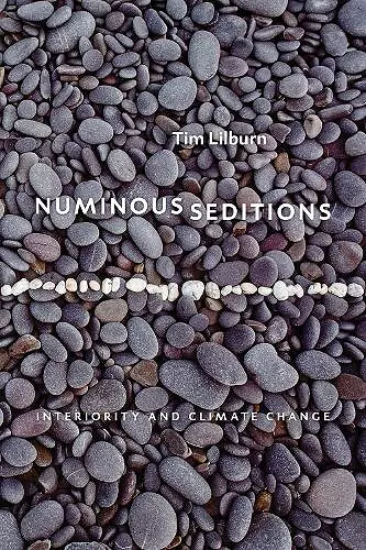 Numinous Seditions cover