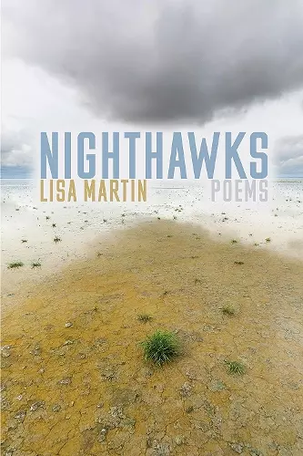 Nighthawks cover