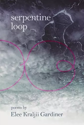 Serpentine Loop cover