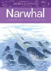 Animals Illustrated: Narwhal cover