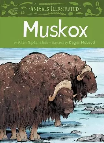 Animals Illustrated: Muskox cover