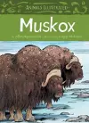 Animals Illustrated: Muskox cover