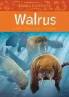 Animals Illustrated: Walrus cover