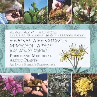 Edible and Medicinal Arctic Plants cover