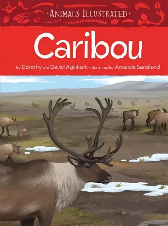 Animals Illustrated: Caribou cover