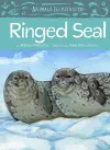 Animals Illustrated: Ringed Seal cover