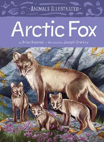 Animals Illustrated: Arctic Fox cover