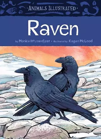 Animals Illustrated: Raven cover