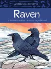 Animals Illustrated: Raven cover