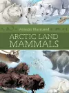 Animals Illustrated: Arctic Land Mammals cover