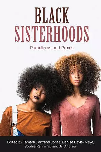 Black Sisterhoods: Paradigms and Praxis cover