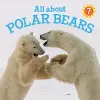 All about Polar Bears cover