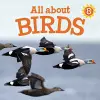 All about Birds cover