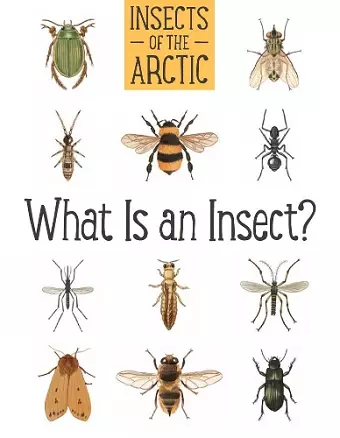 Insects of the Arctic: What Is an Insect? cover