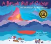 A Brush Full of Colour cover
