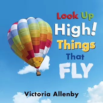 Look Up High! Things That Fly cover