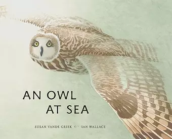 An Owlat Sea cover