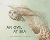 An Owl at Sea cover