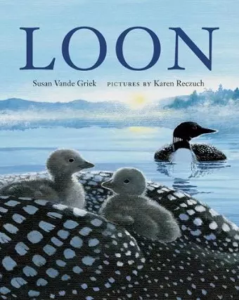 Loon cover