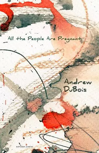 All the People Are Pregnant cover