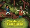 Thunder and the Noise Storms cover