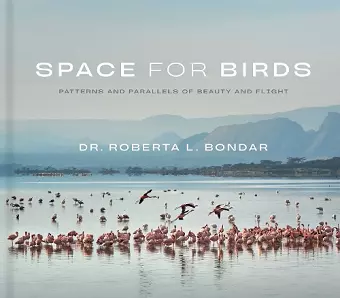 Space for Birds cover