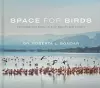 Space for Birds cover