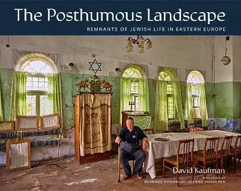 The Posthumous Landscape cover