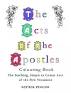 The Acts of the Apostles Colouring Book cover