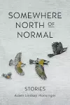 Somewhere North of Normal cover