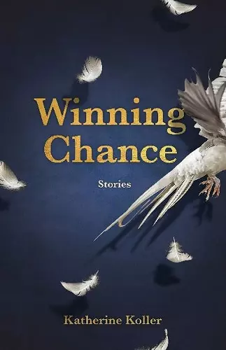 Winning Chance cover