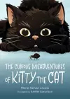 The Curious Misadventures of Kitty the Cat cover