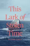 The Lark of Stolen Time cover