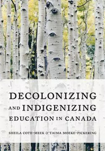Decolonizing and Indigenizing Education in Canada cover