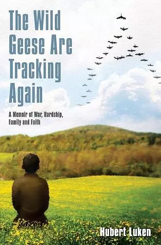 The Wild Geese are Tracking Again cover