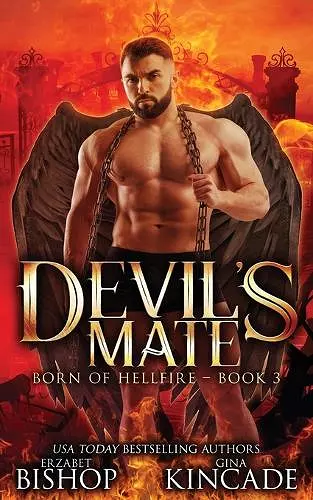 Devil's Mate cover