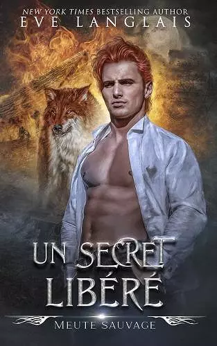 Un Secret Libéré cover