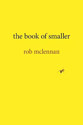 the book of smaller cover