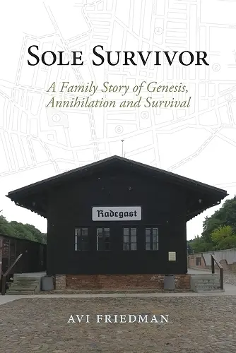 Sole Survivor cover