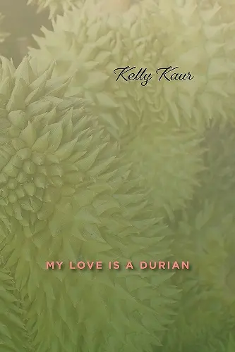 My Love Is a Durian cover