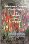 Reflections and Perceptions, a Touch of Euphoria and a Reprieve from Misophonia cover