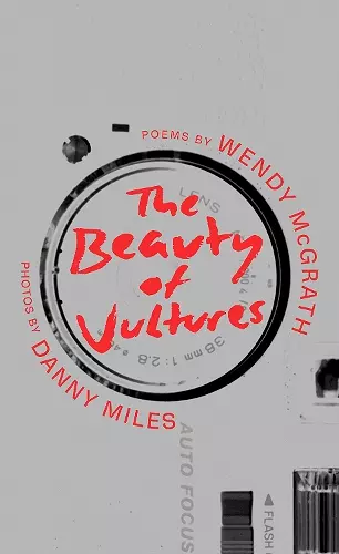 The Beauty of Vultures cover