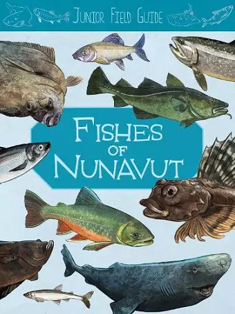 Junior Field Guide: Fishes of Nunavut cover